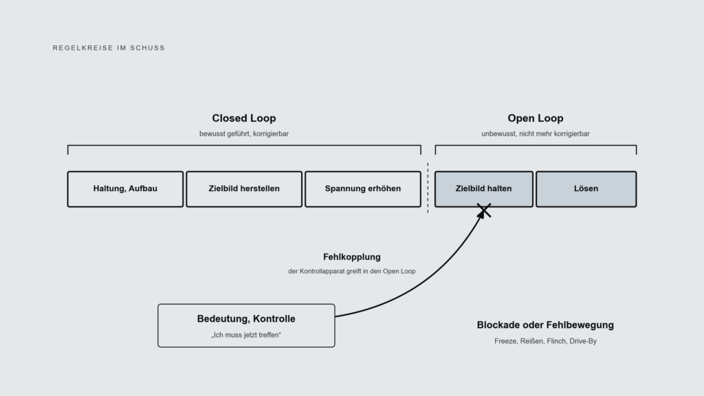 Zeitstrahl des Schusses mit den Closed-Loop-Phasen Haltung, Zielbild herstellen und Spannung erhöhen, den Open-Loop-Phasen Zielbild halten und Lösen, und einem Pfeil, mit dem Bedeutung und Kontrolle in den Open Loop greifen