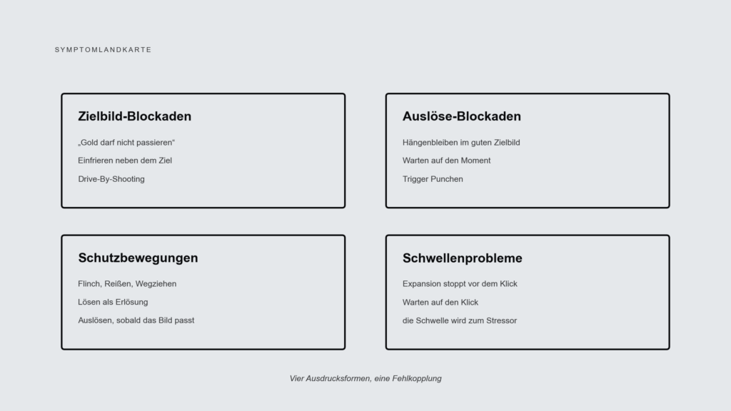 Vier Felder mit den Clustern Zielbild-Blockaden, Auslöse-Blockaden, Schutzbewegungen und Schwellenprobleme, jeweils mit typischen Anzeichen